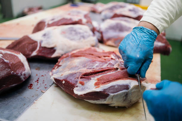Weidefleisch: Warum Fleisch von der Wiese gesünder für Mensch, Tier und Boden ist