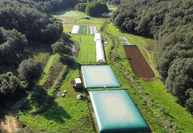 Großer Wassertank für Gärtnerei: Die richtige Regenwasserspeicherung für professionellen Gartenbau
